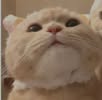 User picture 4